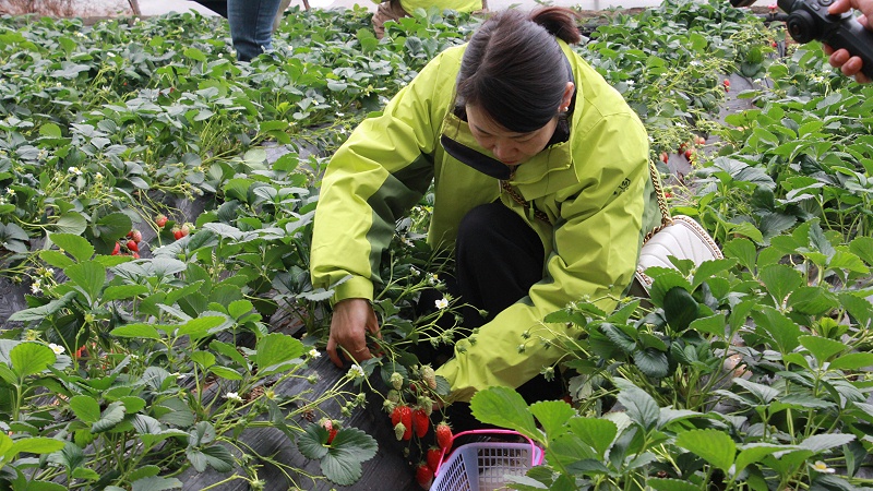 醒春時(shí)光，共赴“莓”好|青島中新華美塑料有限公司女神節(jié)活動(dòng)圓滿舉行