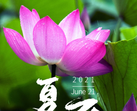 今日夏至|半夏木槿，萬(wàn)物勃發(fā)，長(zhǎng)日滿滿，青島中新華美遙祝夏安